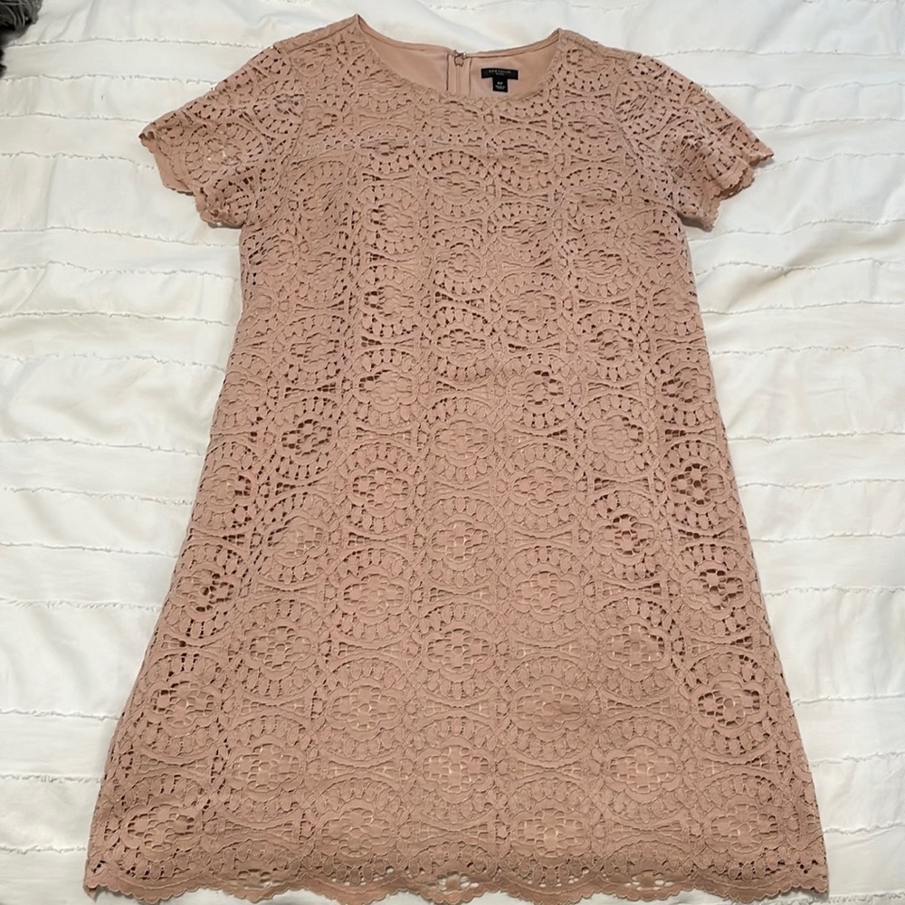 Ann Taylor Lace Dress